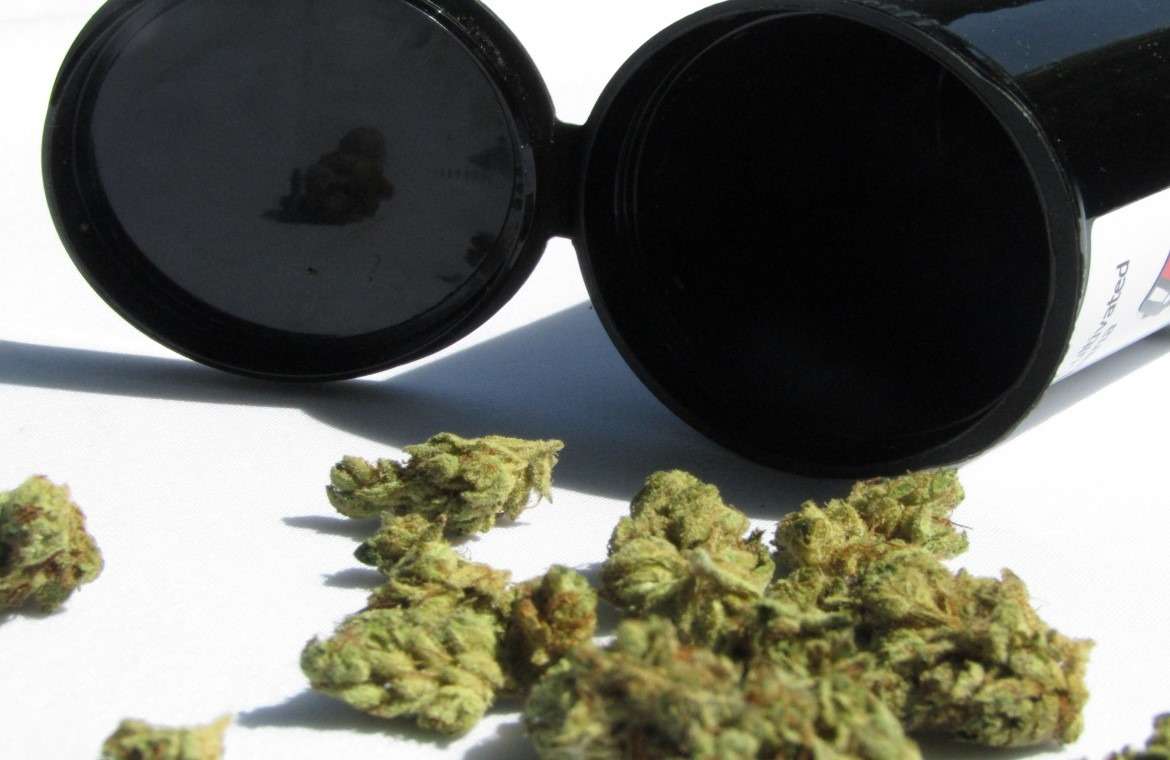Cannabis Legalization Check-In: What’s New