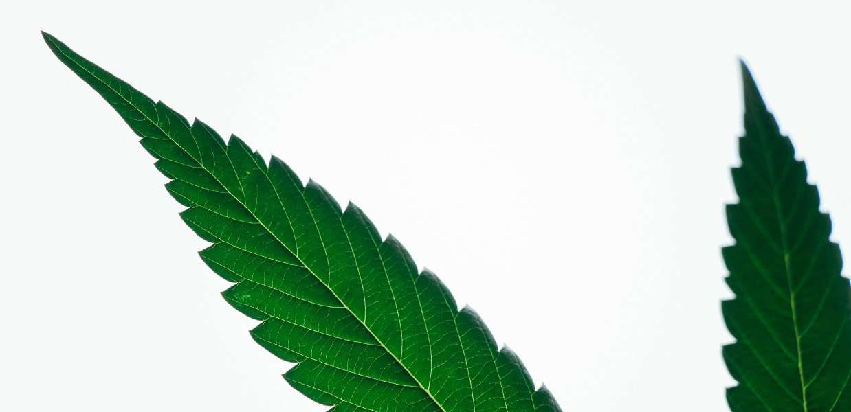 2021 Cannabis Industry Predictions