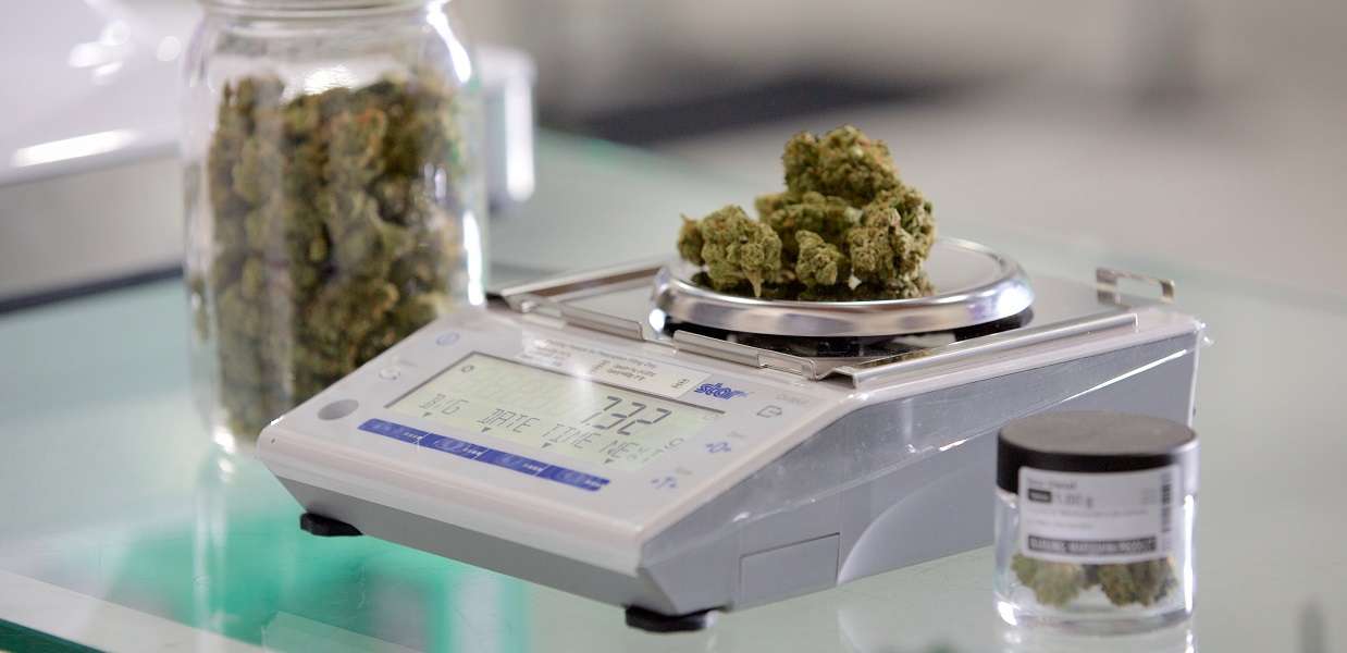 5 Reasons You Need a Cannabis Dispensary POS System