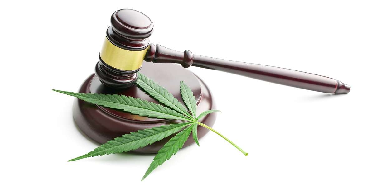 Cannabis Legalization News: Which States are Next in 2022?