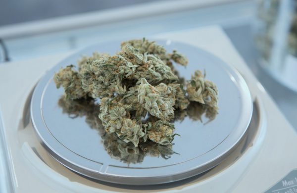 cannabis-dispensaries-america-e1574804801286