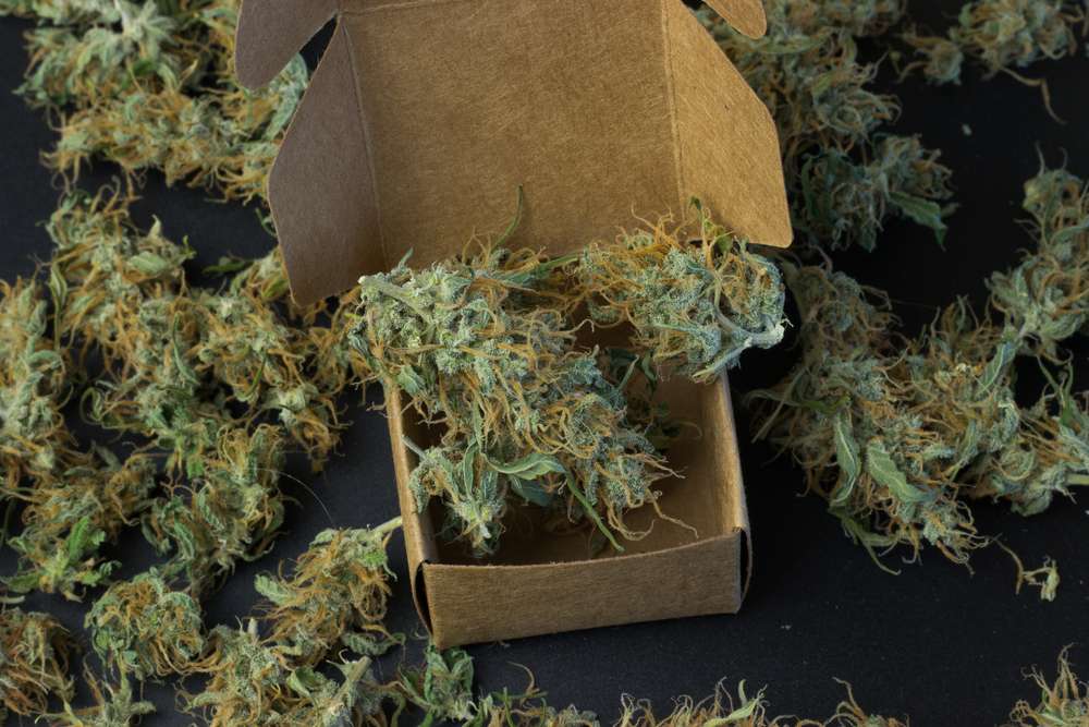 Cannabis delivery POS hardware.